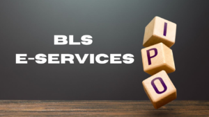 BLS E-Services IPO: Services Launches with Massive Buzz - Your Ticket to Lucrative Returns!